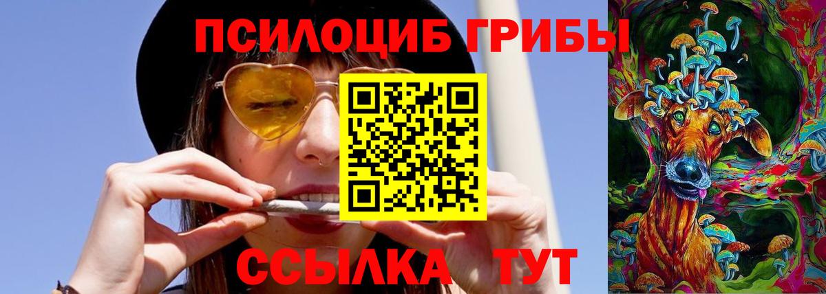 Галлюциногенные грибы GOLDEN TEACHER  Вход с VPN  где можно купить   Артёмовский 